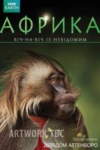 Африка 1 сезон