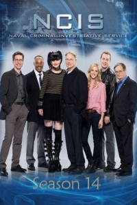 NCIS: Полювання на вбивцю / Морська поліція: Спецвідділ 14 сезон