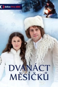 Дванадцять місяців