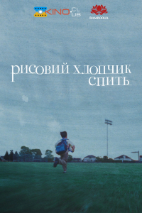 Рисовий хлопчик спить