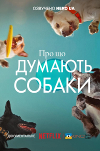 Про що думають собаки