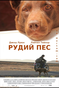 Рудий пес