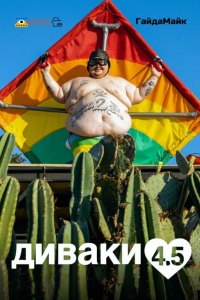 Диваки 4.5