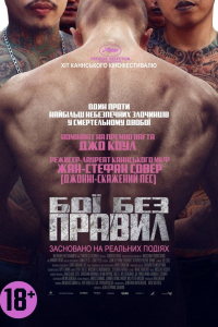 Бої без правил