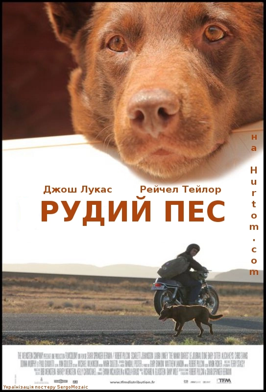 Рудий пес